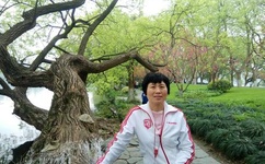 索多玛的120天 快播